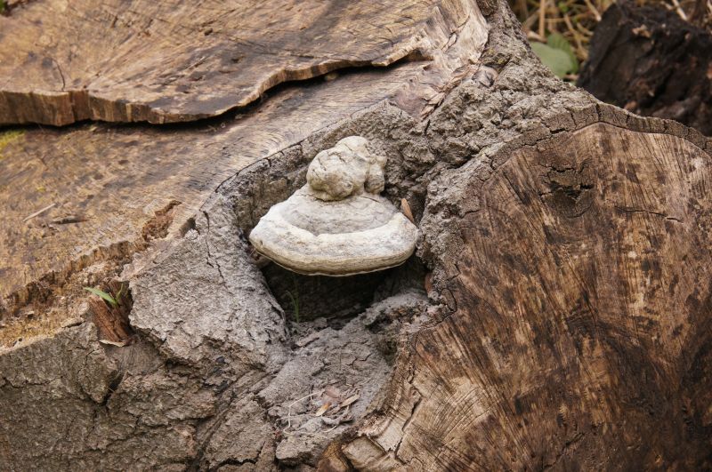 Viewing photos→2014→2014-04-05→10