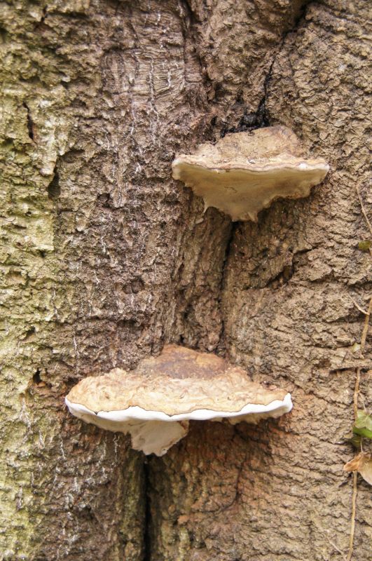 Viewing photos→2014→2014-04-05→19