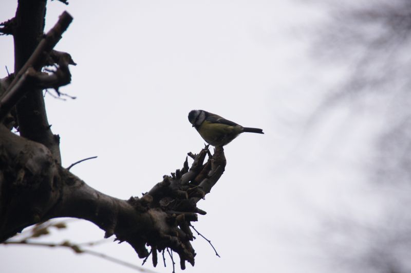 Viewing photos→2014→2014-04-05→23