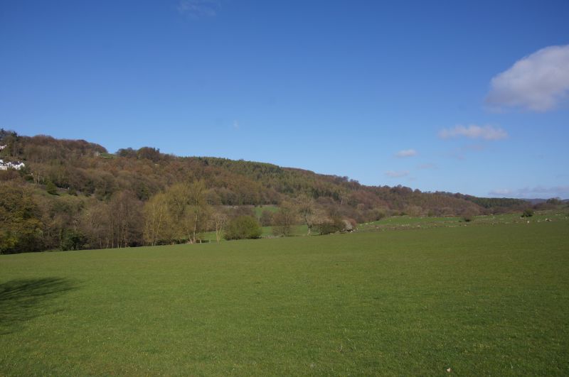 Viewing photos→2014→2014-04-18→01