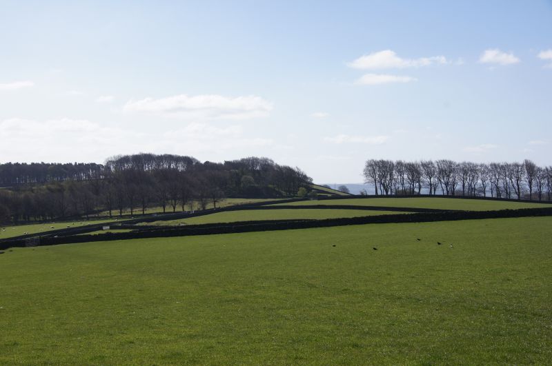 Viewing photos→2014→2014-04-18→10