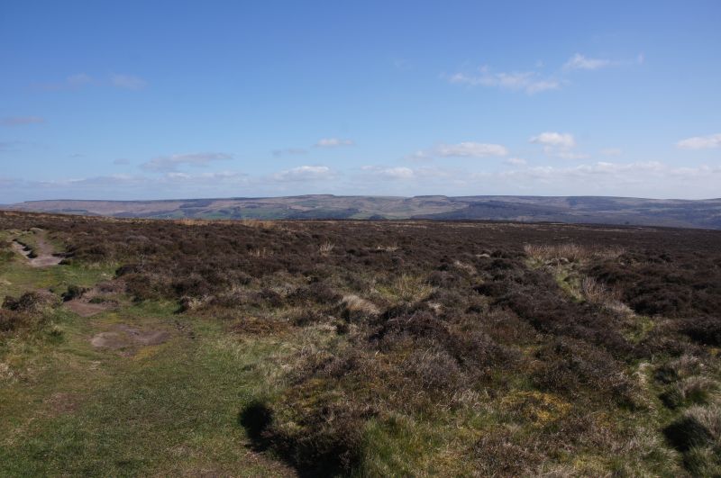 Viewing photos→2014→2014-04-18→14