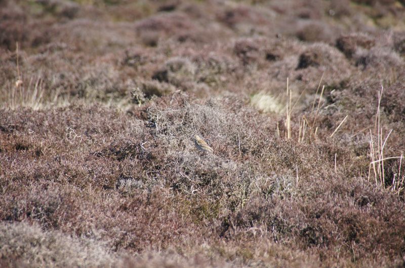 Viewing photos→2014→2014-04-18→16