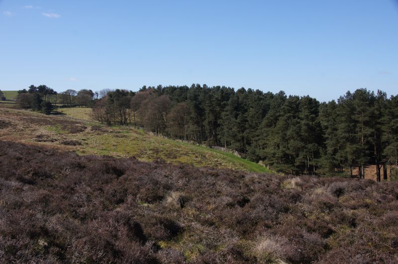 Viewing photos→2014→2014-04-18→25