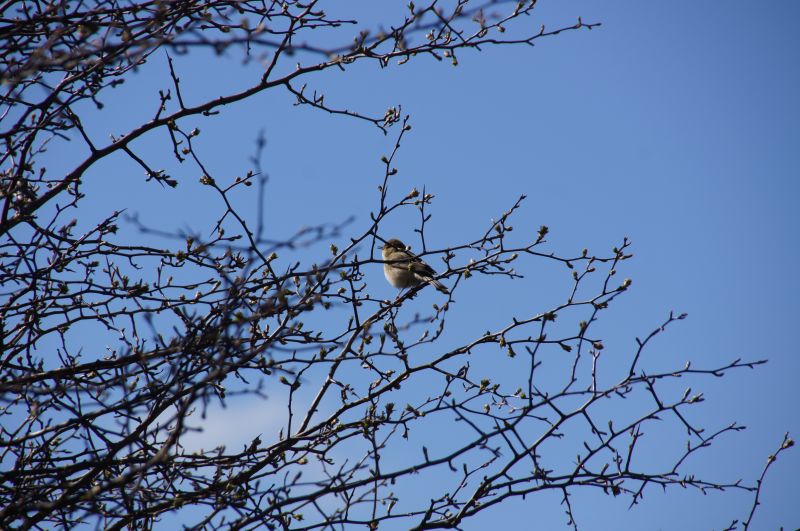 Viewing photos→2014→2014-04-18→29