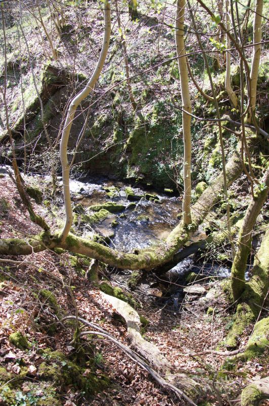 Viewing photos→2014→2014-04-18→33