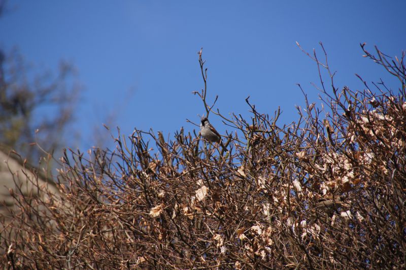 Viewing photos→2014→2014-04-18→34