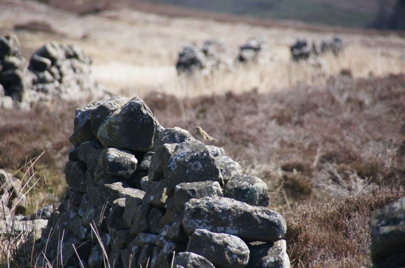 Viewing photos→2014→2014-04-18→39