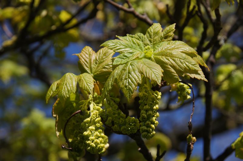 Viewing photos→2014→2014-04-18→48