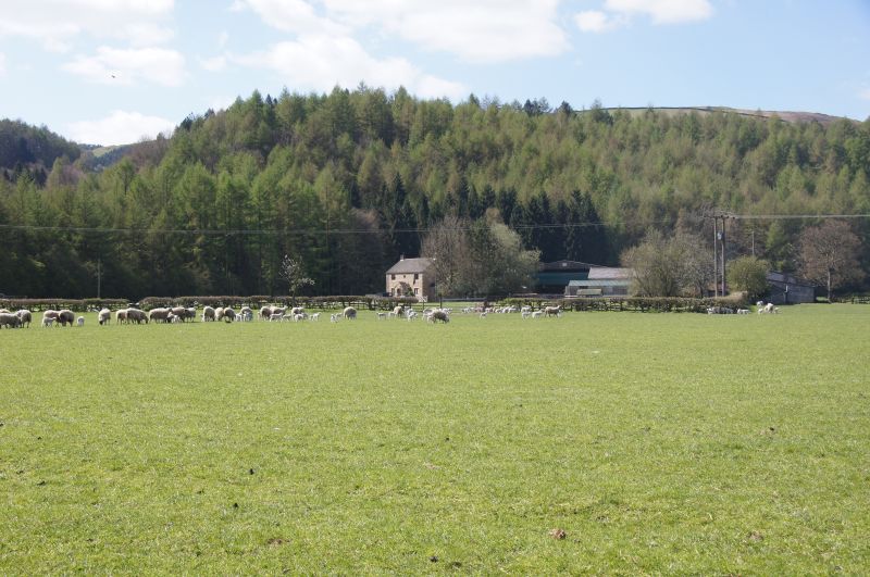 Viewing photos→2014→2014-04-18→52