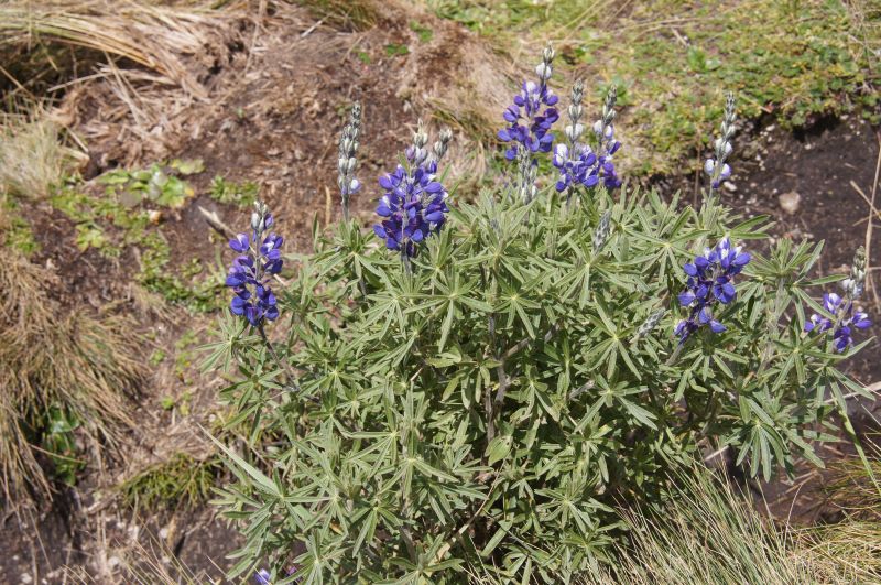 Viewing photos→2014→2014-04-28→07