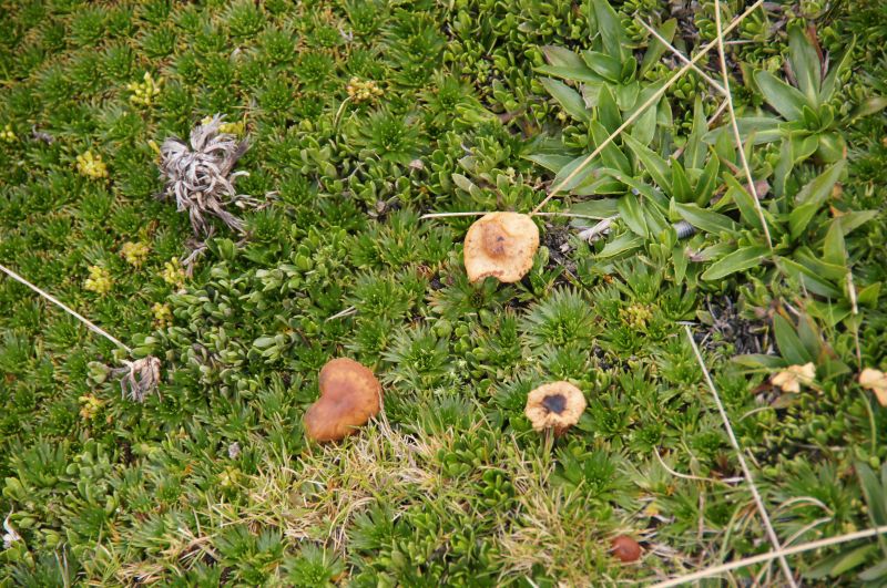 Viewing photos→2014→2014-04-28→16