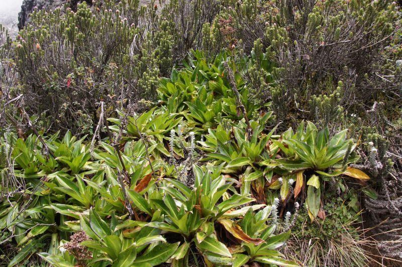 Viewing photos→2014→2014-04-28→24