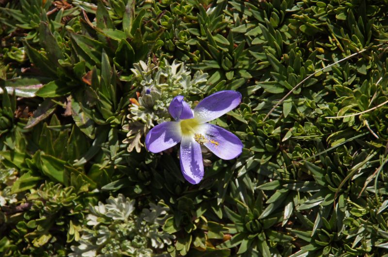 Viewing photos→2014→2014-04-28→26