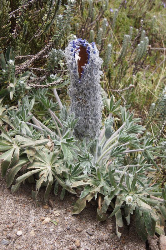 Viewing photos→2014→2014-04-28→31