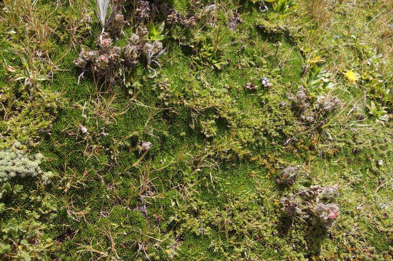 Viewing photos→2014→2014-04-28→32