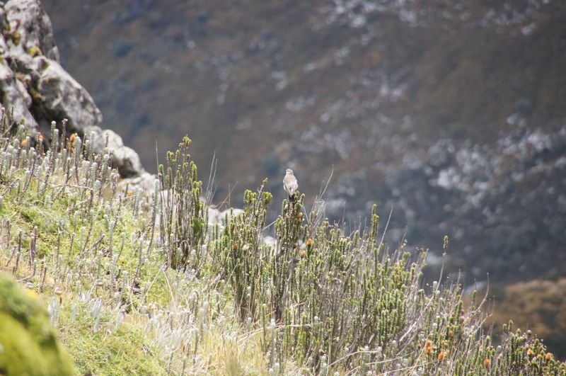 Viewing photos→2014→2014-04-28→36