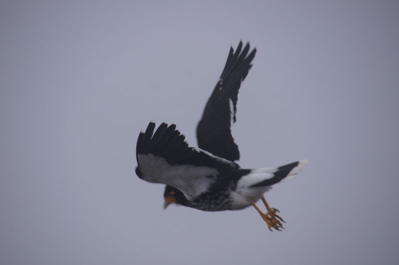 Viewing photos→2014→2014-04-28→60