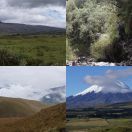 2014-04-29 - 2014-05-02<br/>
<b>Rumiñahui & Cotopaxi, Ecuador</b>
