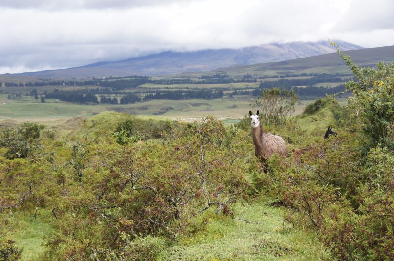 Viewing photos→2014→2014-04-29→008