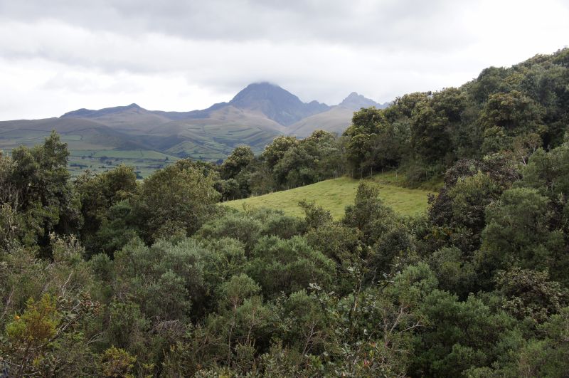 Viewing photos→2014→2014-04-29→010