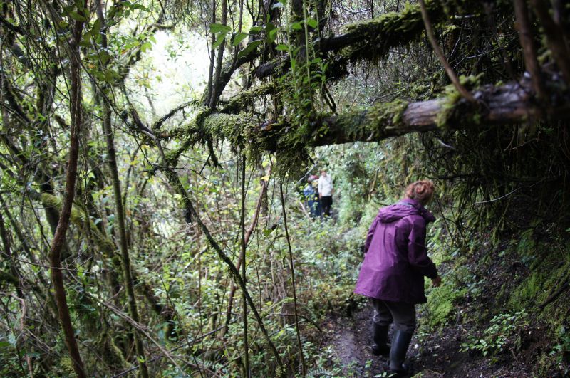 Viewing photos→2014→2014-04-29→011