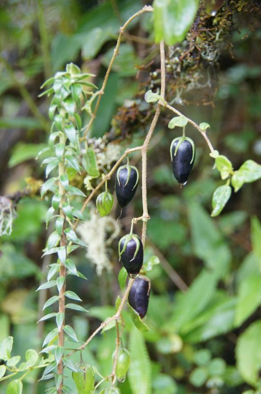 Viewing photos→2014→2014-04-29→013