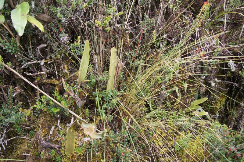 Viewing photos→2014→2014-04-29→015