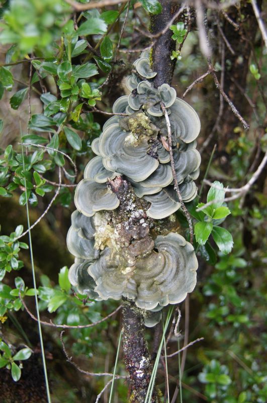 Viewing photos→2014→2014-04-29→018