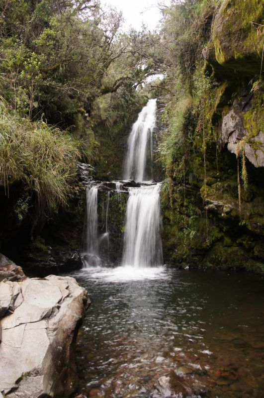 Viewing photos→2014→2014-04-29→026