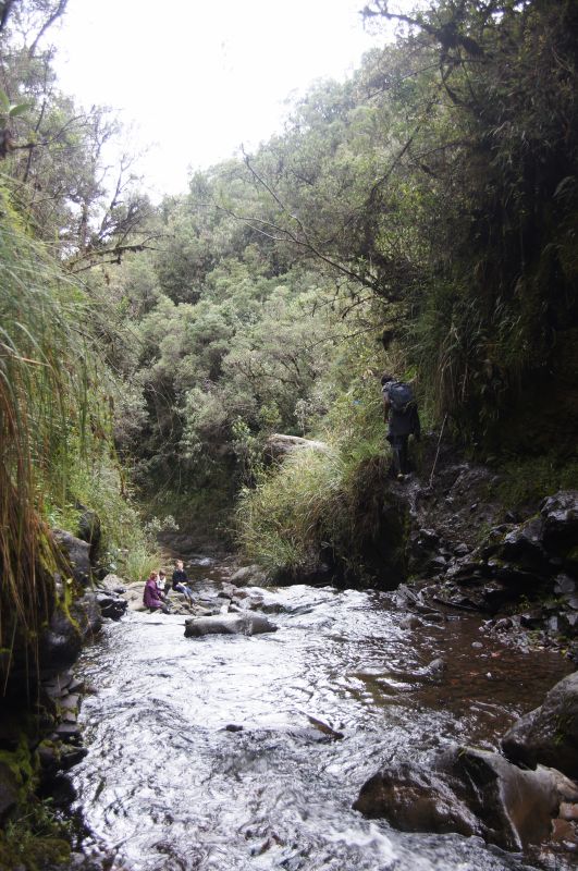 Viewing photos→2014→2014-04-29→027