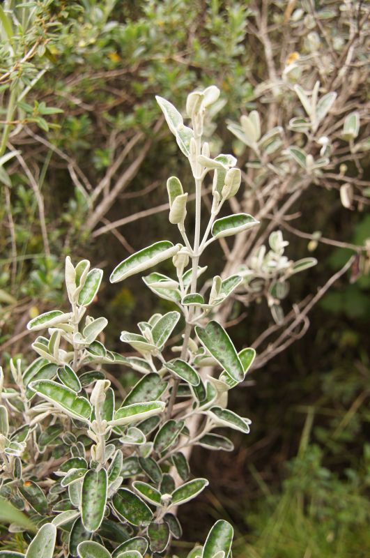 Viewing photos→2014→2014-04-29→032