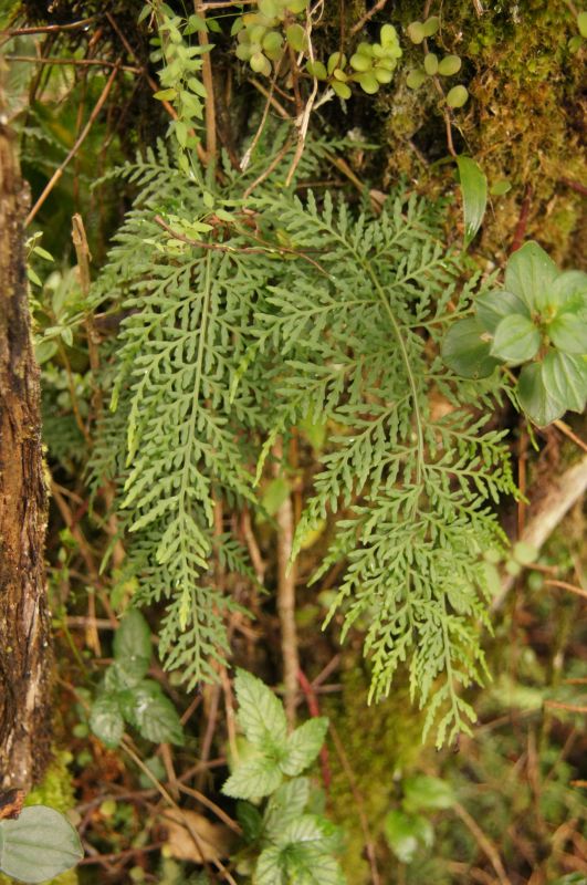 Viewing photos→2014→2014-04-29→036