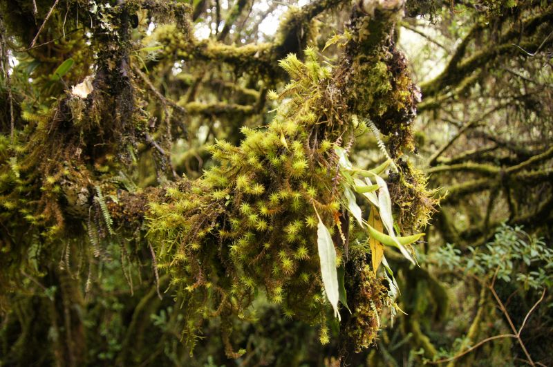 Viewing photos→2014→2014-04-29→037