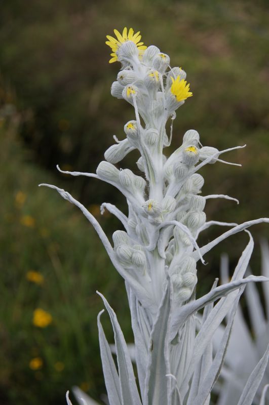 Viewing photos→2014→2014-04-29→047