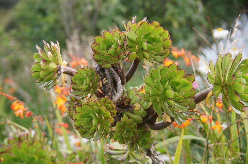 Viewing photos→2014→2014-04-29→048