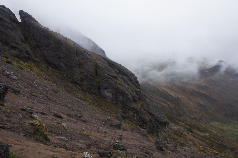 Viewing photos→2014→2014-04-29→060