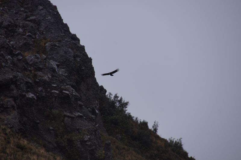 Viewing photos→2014→2014-04-29→066