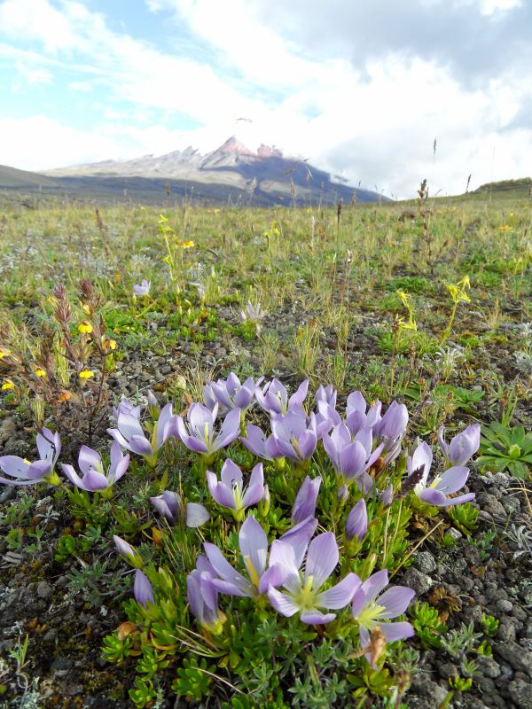 Viewing photos→2014→2014-04-29→086