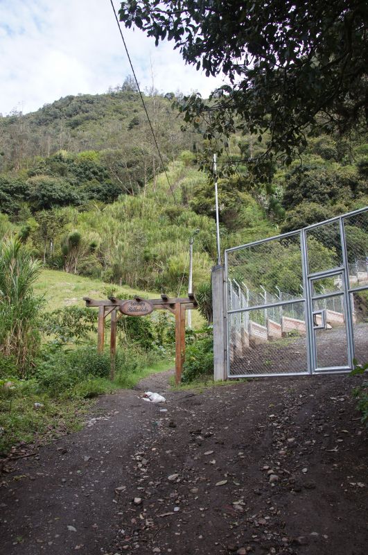 Viewing photos→2014→2014-05-03→05