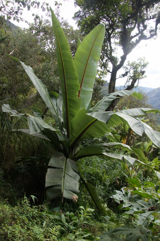 Viewing photos→2014→2014-05-03→19