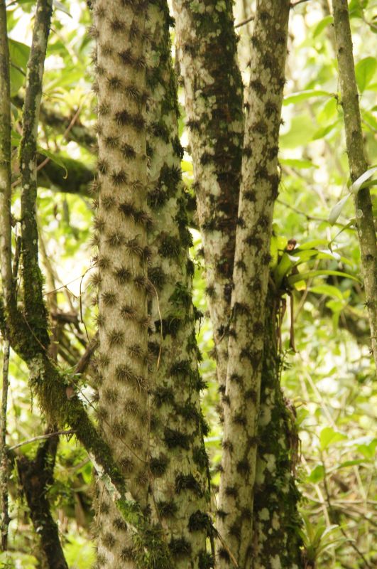 Viewing photos→2014→2014-05-03→21