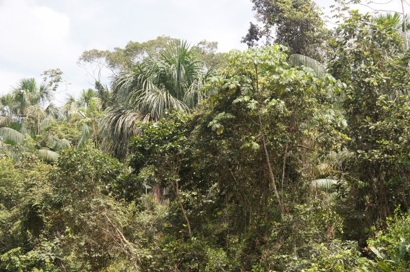 Viewing photos→2014→2014-05-05→013