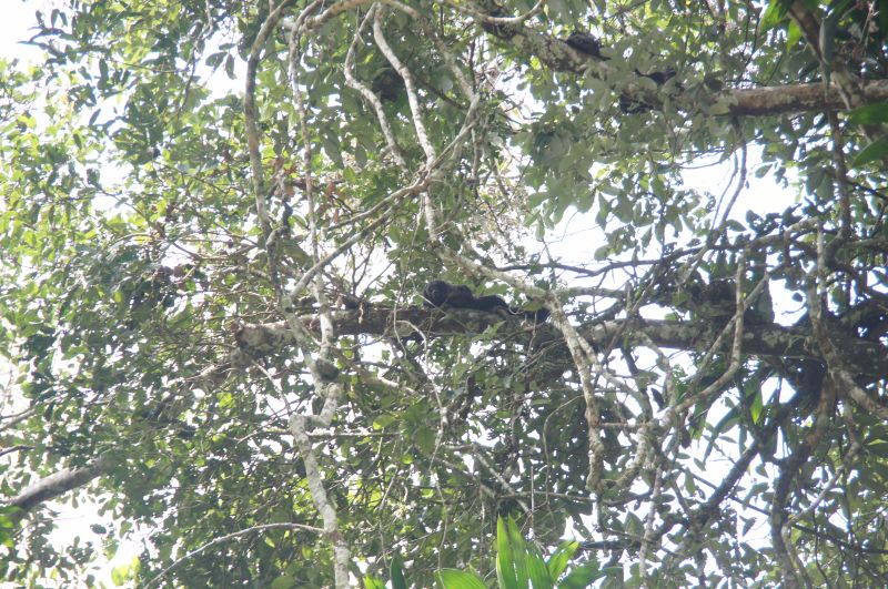 Viewing photos→2014→2014-05-05→019