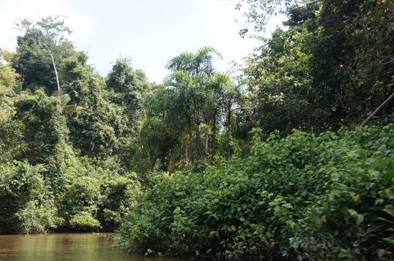 Viewing photos→2014→2014-05-05→023