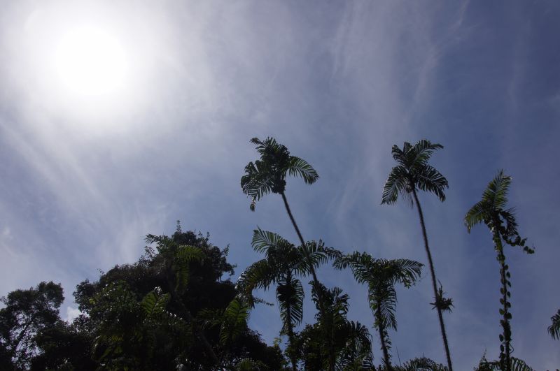 Viewing photos→2014→2014-05-05→026