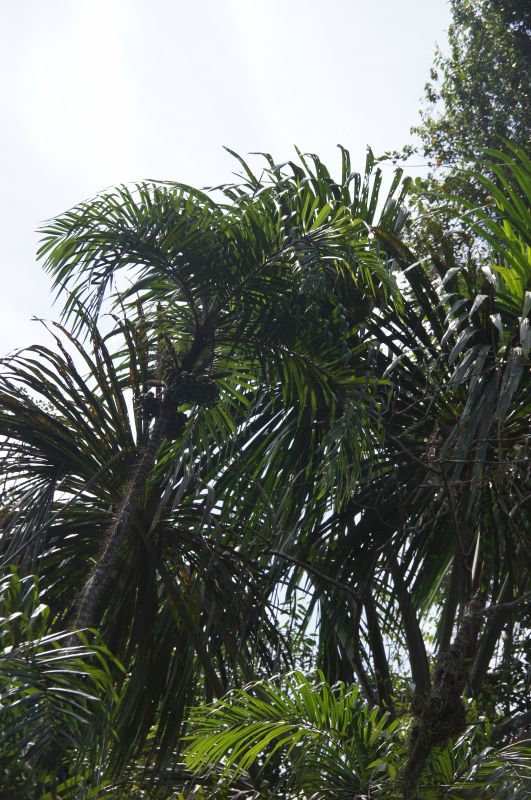 Viewing photos→2014→2014-05-05→027