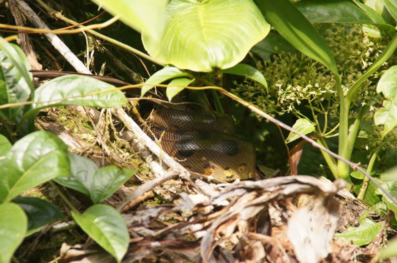 Viewing photos→2014→2014-05-05→030