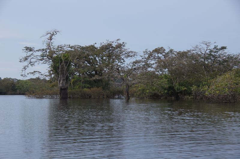 Viewing photos→2014→2014-05-05→032