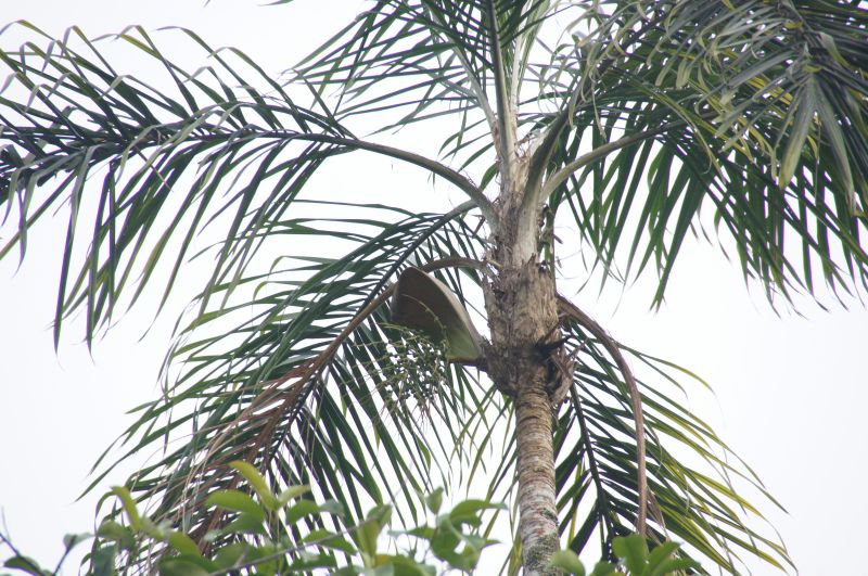 Viewing photos→2014→2014-05-05→035